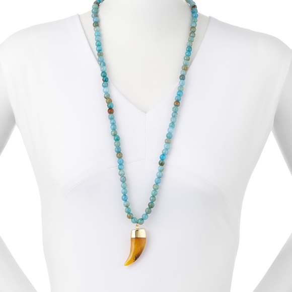 Panacea Turquoise Long Beaded Agate Horn Necklace - Picture 1 of 4